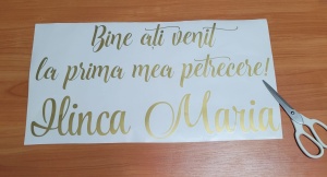 Sticker text panou personalizat din vinil autoadeziv Oracal, decupat după contur