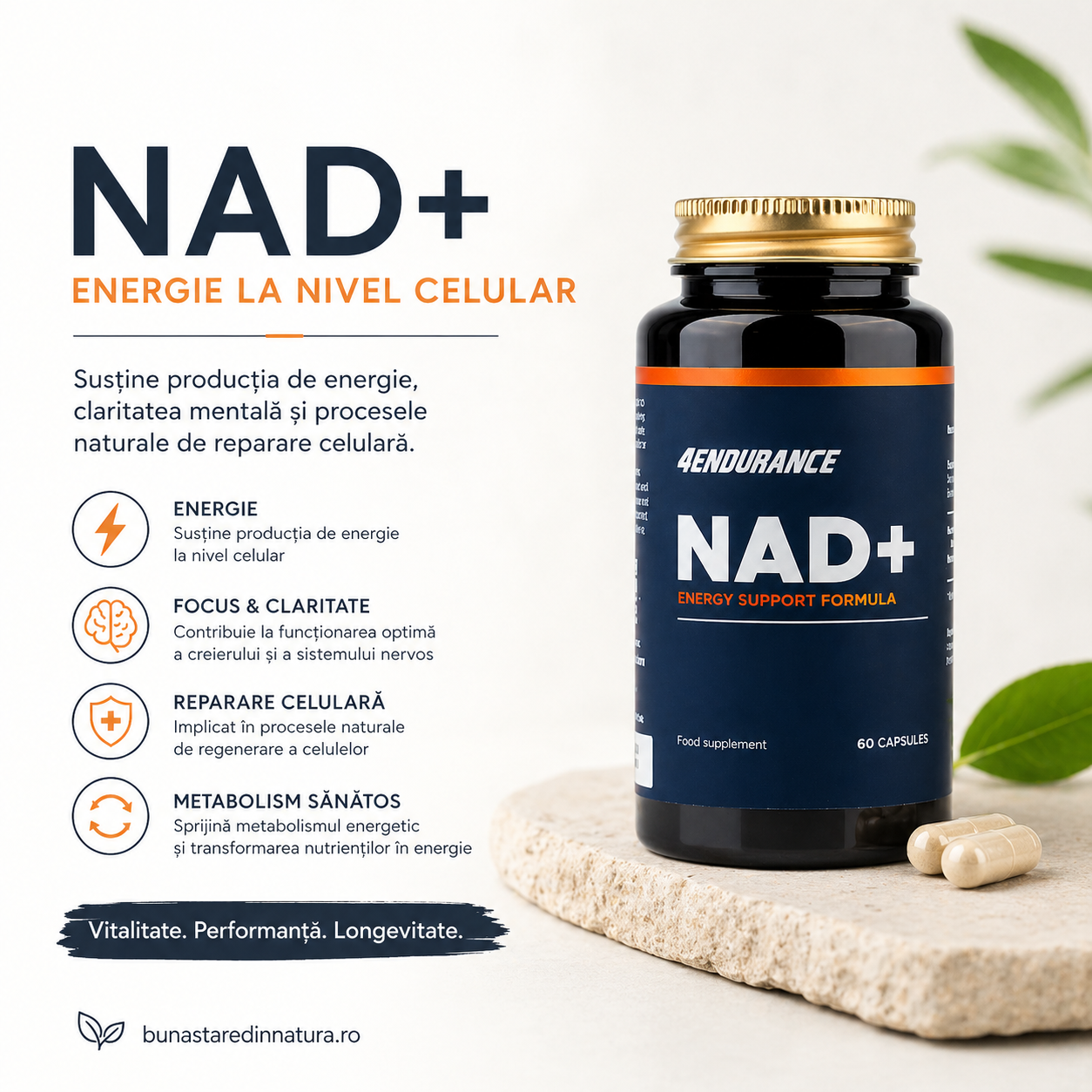 NAD+ - De ce este unul dintre cele mai discutate suplimente ale momentului pentru energie, longevitate și performanță
