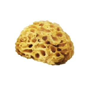 Burete natural