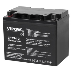 VIPOW Acumulator Staționar AGM VRLA 12V 75Ah