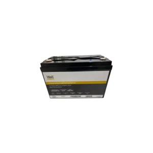 Well Acumulator litiu LiFePO4 12.8V 100Ah, cu BMS, terminal M8