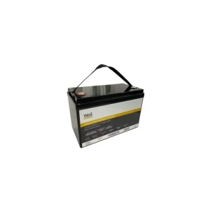 Well Acumulator litiu LiFePO4 12.8V 100Ah, cu BMS, terminal M8 - Img 2