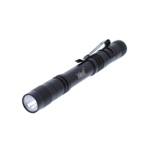 WELL Lanterna cu LED 3W 220lm