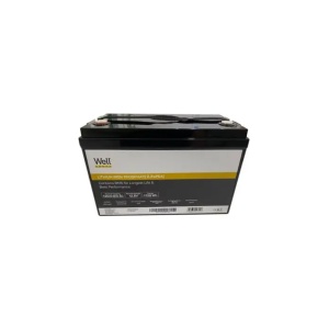 Well Acumulator litiu LiFePO4 12.8V 135Ah, cu BMS, terminal M8