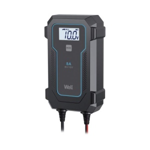 Well Incarcator acumulator plumb-acid, cu microprocesor, LiFePO4 6V 4A, 12V 8A