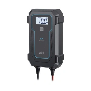 Well Incarcator acumulator plumb-acid, cu microprocesor, LiFePO4 6V 4A, 12V 8A