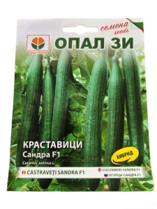Краставици, Семена за сорт САНДРА f1, много продуктивен хибриден сорт