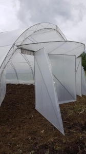 Solar Legume Profesional Regal Fermierul 8X50 metri - Img 4