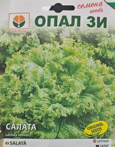 Салата, Семена на сорт ДЖЕНТЕЛИНА, сорт с голяма глава и много листа