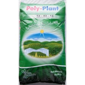 POLY PLANT 12.43.12 +ME