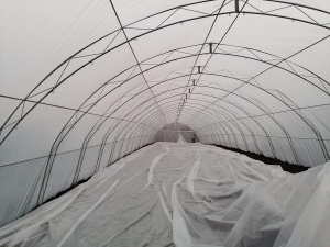 Solar Legume Profesional Regal Fermierul 6X18 metri