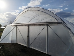 Solar Legume Profesional Regal Fermierul 8X40 metri