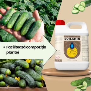 BIOPACK Етап 1 КРАСТАВИЦИ – Подготовка на почвата и пресаждане - Img 4