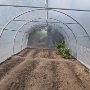 Solar Legume Profesional Regal Fermierul 4X20 metri - Img 2