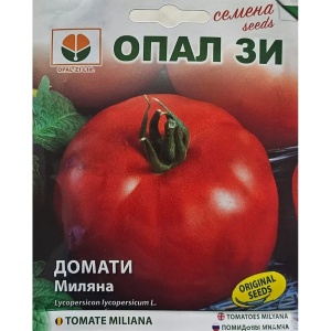 Домат, Семена за сорт miliana, полуранен сорт