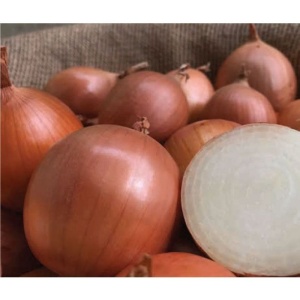 Лук, Семена лук сорт px07713119 f1: Отлична продукция, калибър 60-70 mm