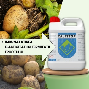 BIOPACK Етап 3 КАРТОФИ - За подсилване на тъканите и подобряване на качеството на плодовете - Img 2