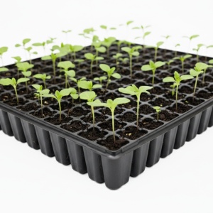Професионална алвеолна табла 160 клетки, първо качество, SEM-KA PLASTIK - Img 3
