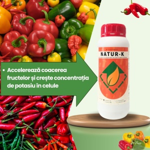 BIOPACK Етап 5 ЧУШКИ – Бързо Узряване и Интензивен Вкус - Img 3