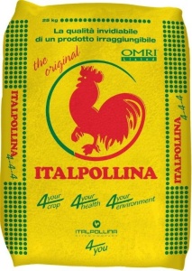 ITALPOLLINA