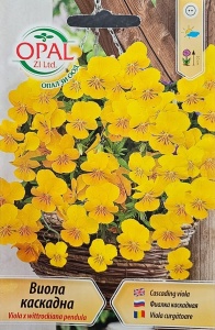 Виола, Семена от viola x wittrockiana pendula, каскадно растение