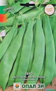 Градински боб, Семена за сорт ebro , ранен продуктивен сорт