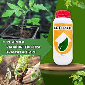 BIOPACK Етап 2 ДОМАТИ – Повишаване на продуктивността - Img 4