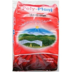 POLY PLANT 10.5.40 +ME