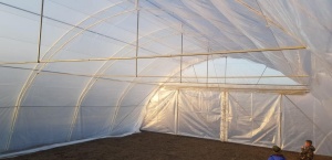 Solar Legume Profesional Regal Fermierul 8X20 metri