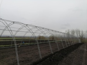 Solar Legume Profesional Regal Fermierul 8X50 metri - Img 3