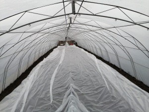 Solar Legume Profesional Regal Fermierul 6X16 M, complet echipat