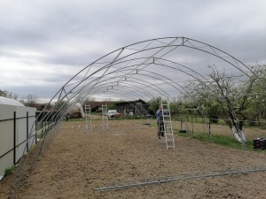 Solar Legume Profesional Regal Fermierul, 8X38 metri