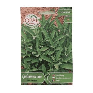 Семена от салвия (Salvia officinalis), 5g