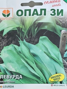 Семена от сминдух, подправка с лек мирис на чесън