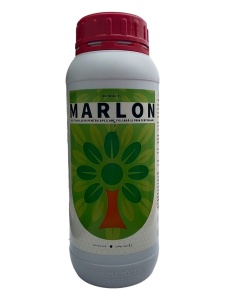 Тор marlon, листно приложение и фертигация с аминокиселини