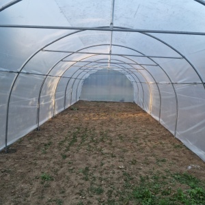 Solar Legume Profesional Regal Fermierul 4X20 metri