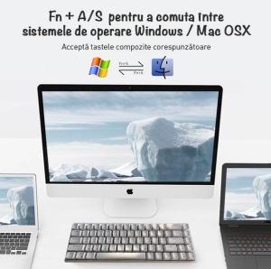 Tastatură Mecanică Wireless Zenkabeat 68 Taste RGB Albă - Img 8