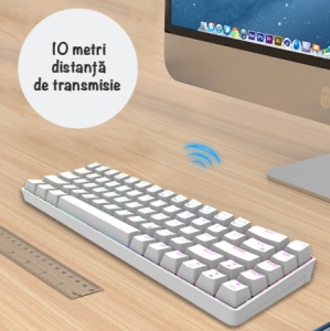 Tastatură Mecanică Wireless Zenkabeat 68 Taste RGB Albă - Img 4