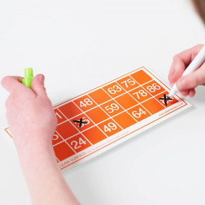 Bingo Set - Complete with Reusable Cards [DEMO] - Img 4