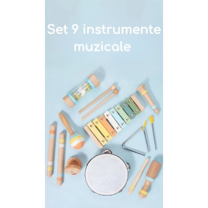 Set Instrumente Muzicale din Lemn Montessori, Percutie si Xilofon pentru Copii 1-5 Ani, Jucarie Educativa, Dezvolta Recunoasterea Ritmului si Abilitatile de Concentrare, Perfectioneaza Coordonarea Mana-Ochi, Multicolor - Img 5