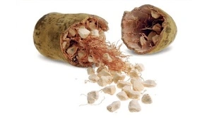 Baobab pudra BIO - 100 gr - Img 3