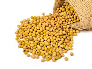 Boabe soia BIO - 1 kg