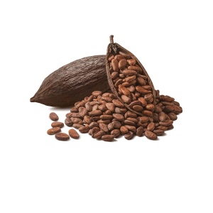 Boabe cacao Criollo BIO, 500 gr - Img 2