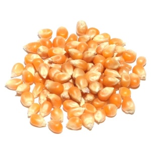 Porumb popcorn, 1 kg - Img 2