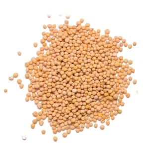 Boabe de mustar, 500 gr