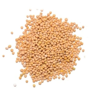 Boabe de mustar, 100 gr