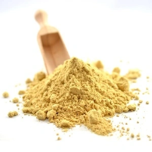Ghimbir pudra, 10 gr