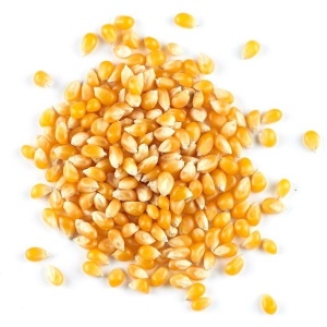 Porumb popcorn, 1 kg - Img 3