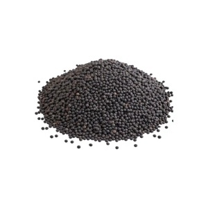 Linte neagra BIO - 500 gr