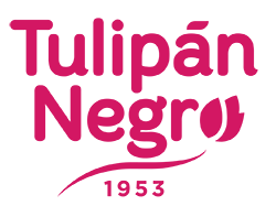 Tulipan Negro